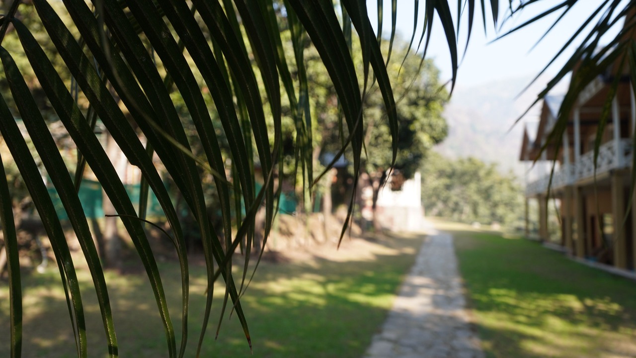 Photo of Outdoor in Shivpuri