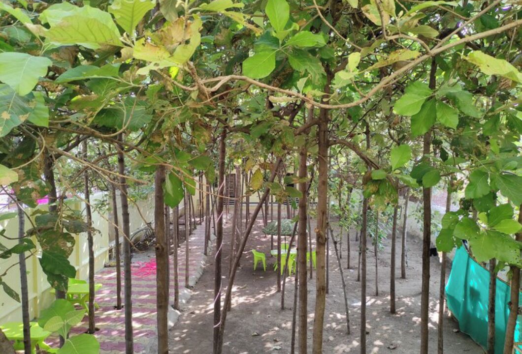 Photo of Outdoor in Bali