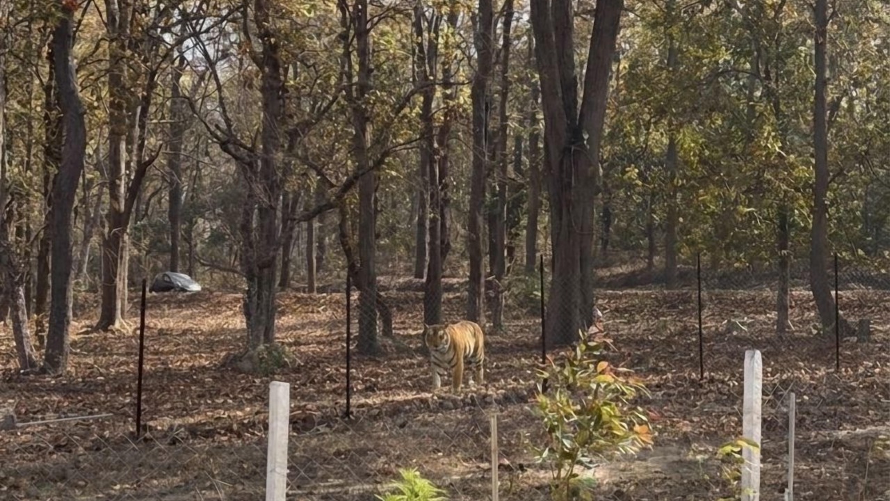 Photo of Outdoor in Mukki