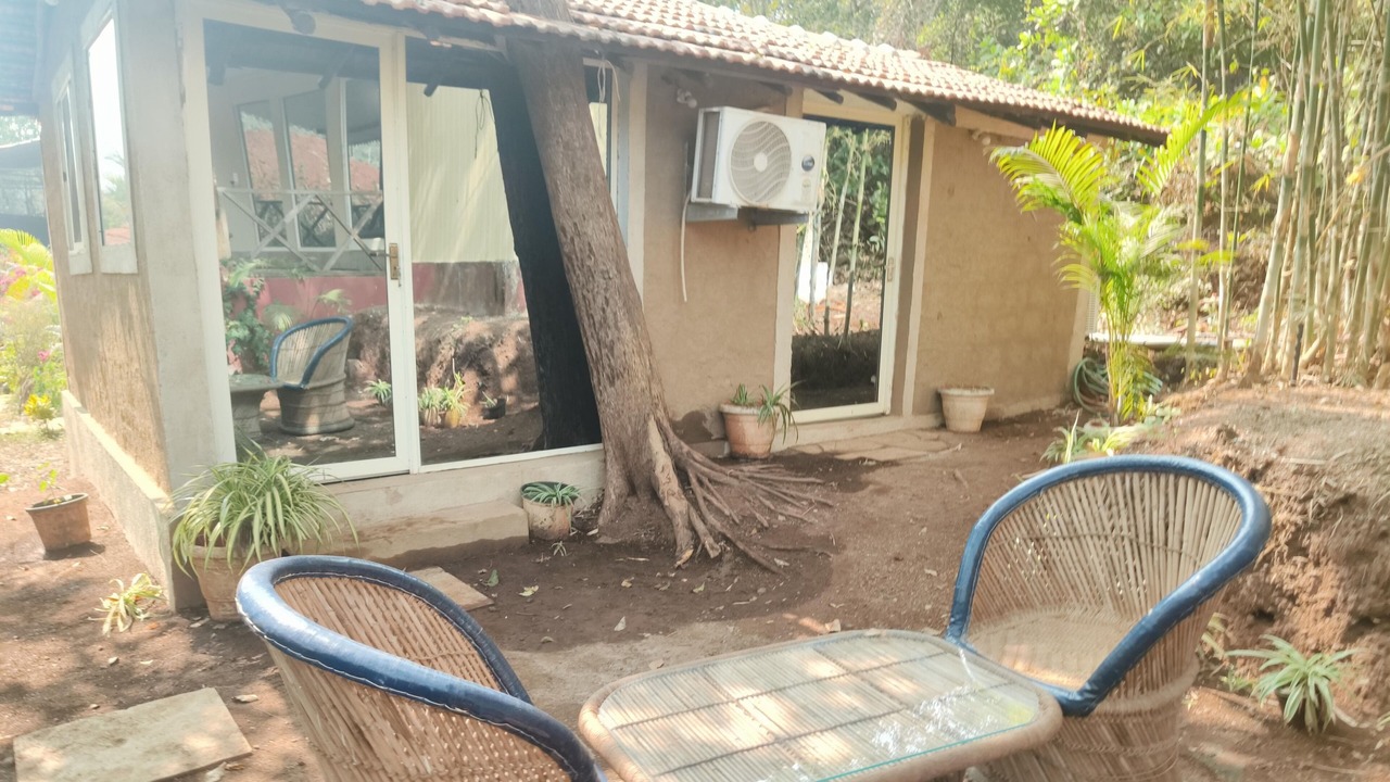 Photo of Outdoor in Mandrem