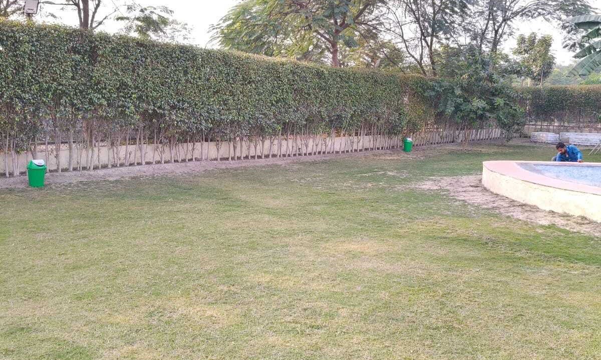 Photo of Outdoor in Noida
