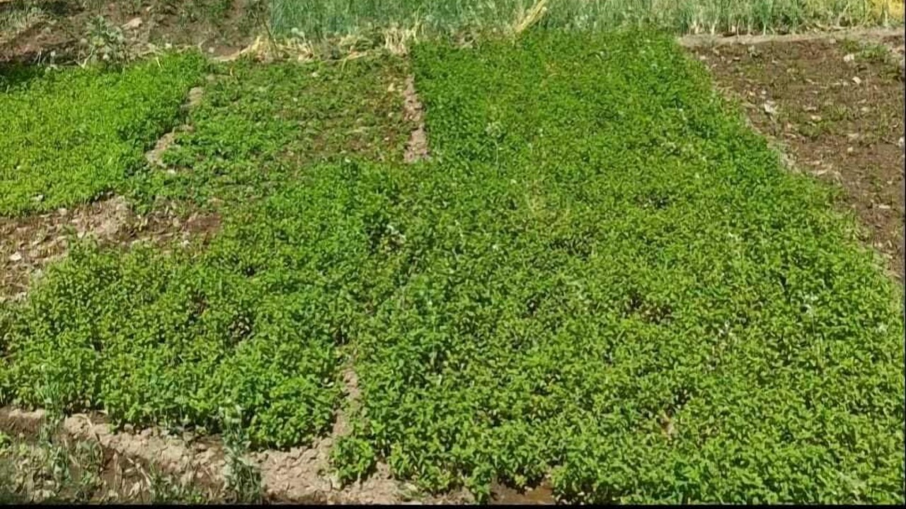 Photo of Outdoor in Bedla