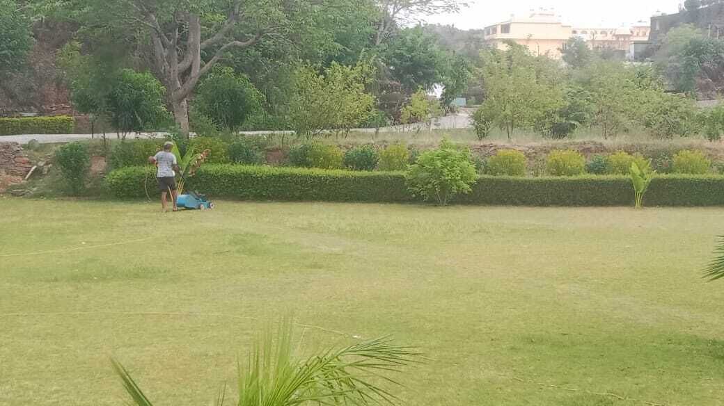 Photo of Others in Bedla