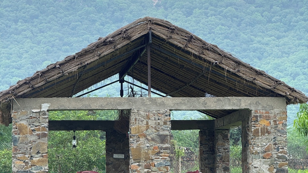 Photo of Outdoor in Sariska