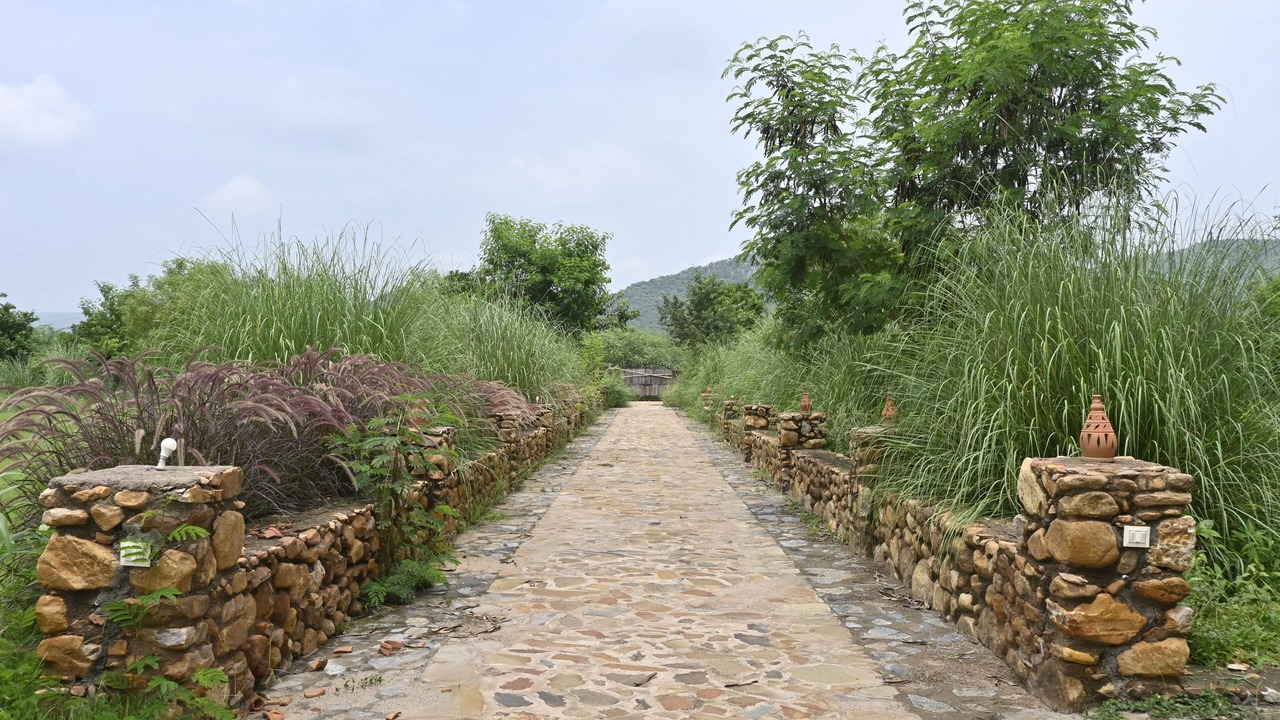 Photo of Outdoor in Sariska