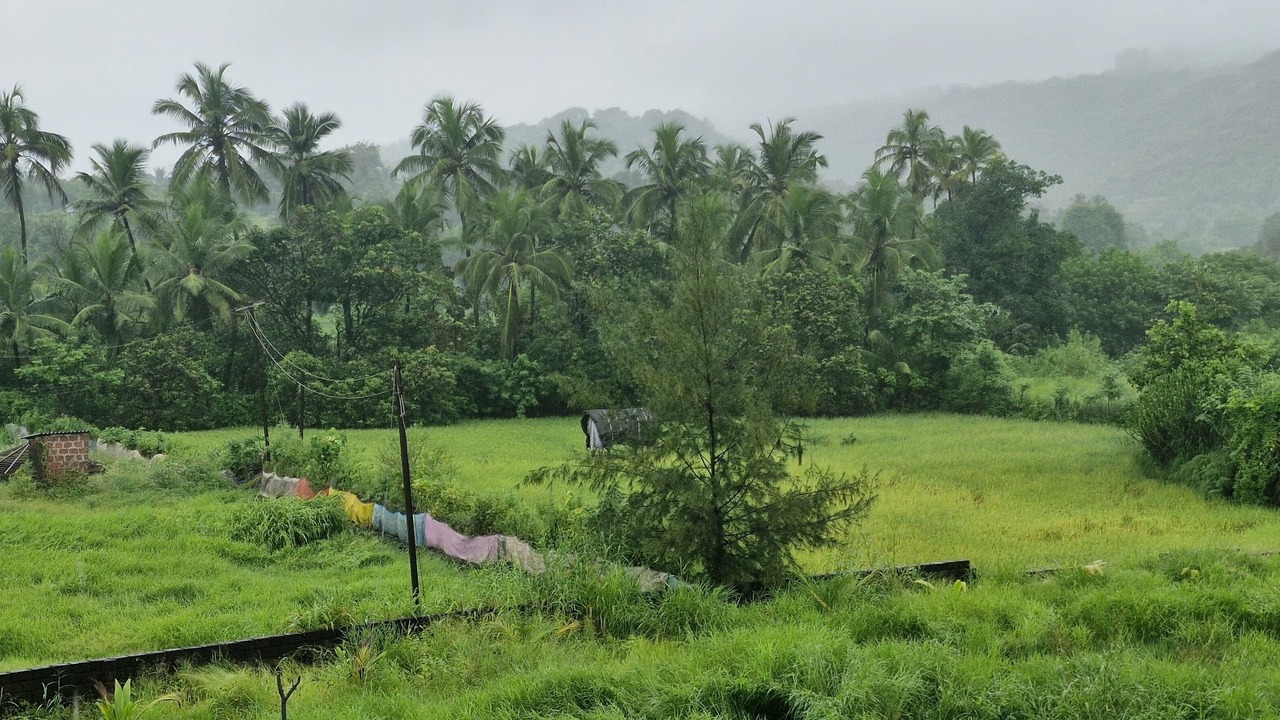 Photo of Outdoor in Mhsala