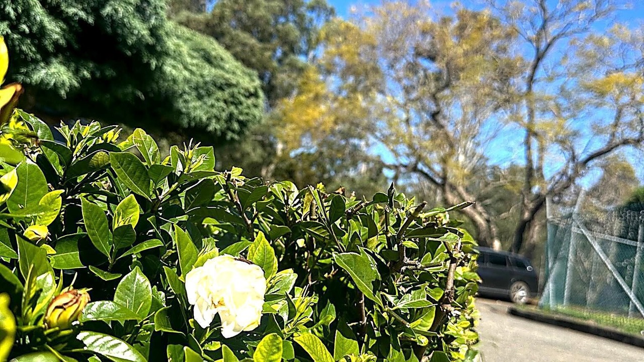 Photo of Outdoor in Casula