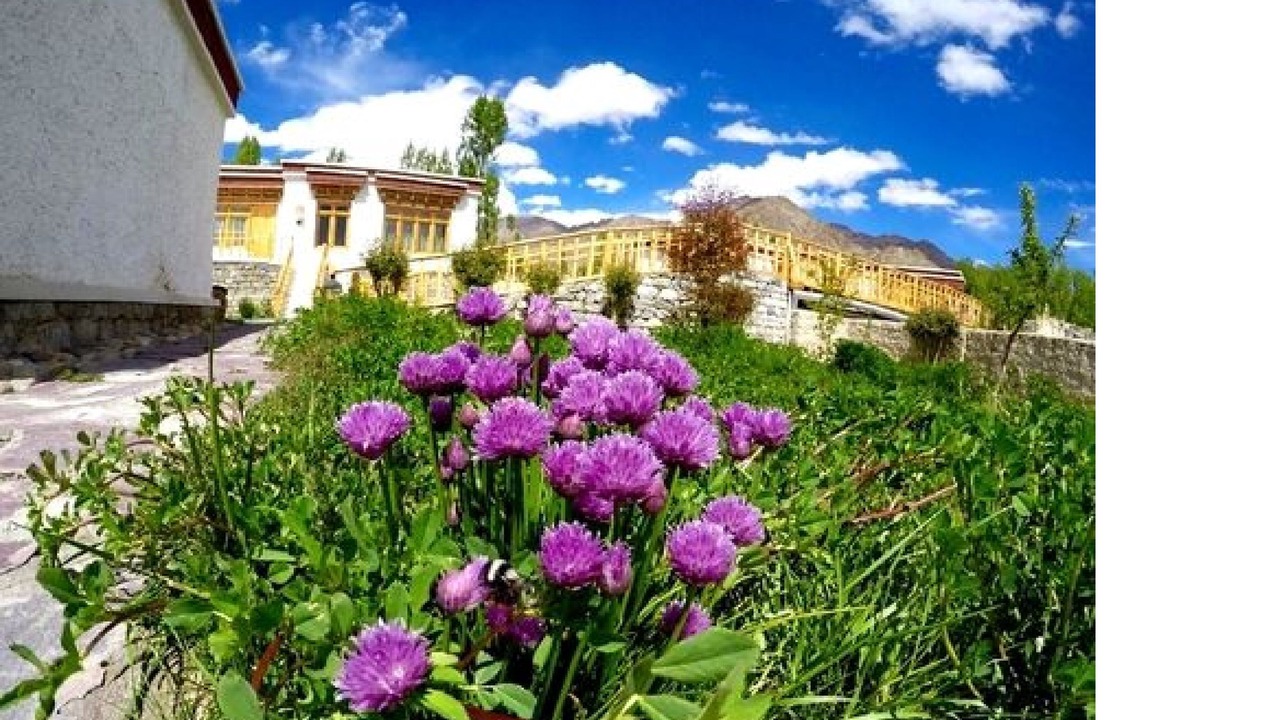 Photo of Outdoor in Leh