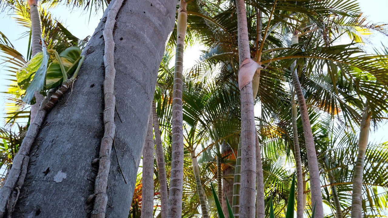 Photo of Outdoor in The Entrance