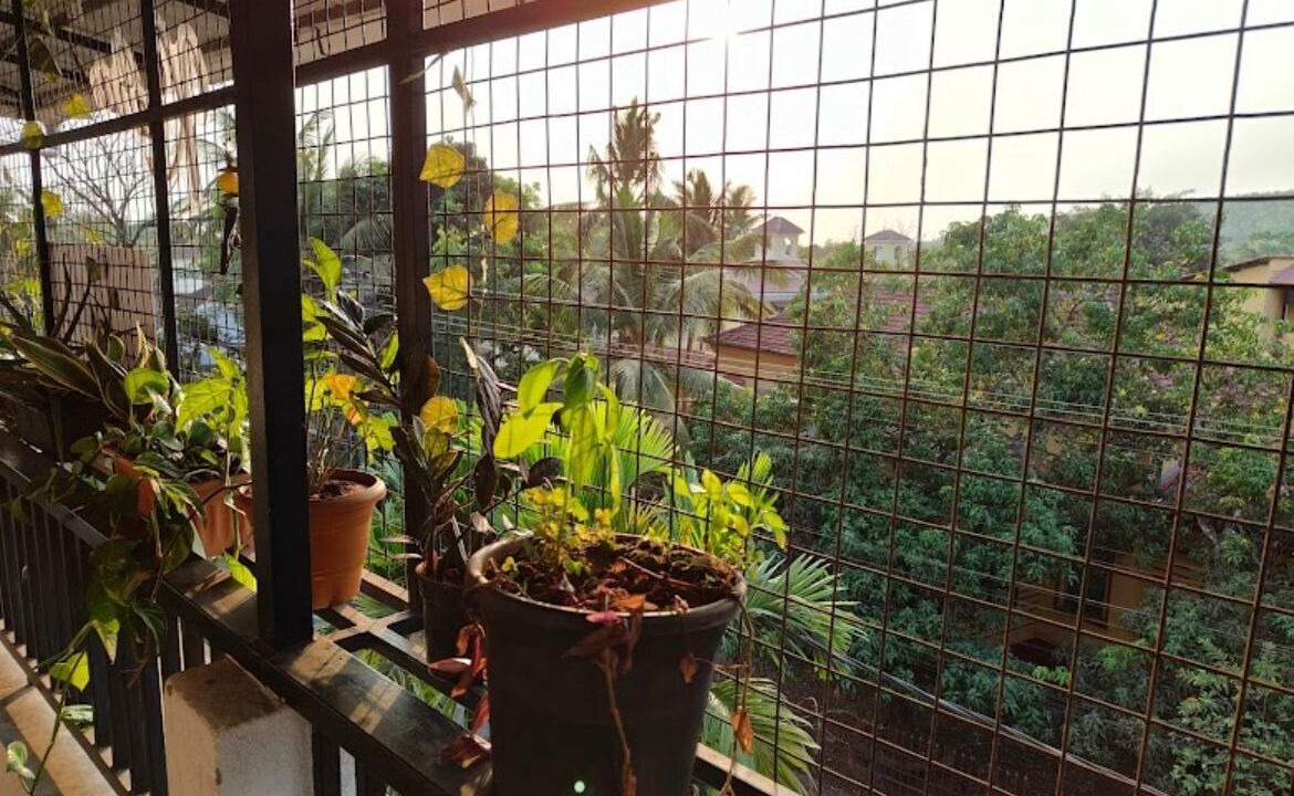 Photo of Outdoor in Assagao
