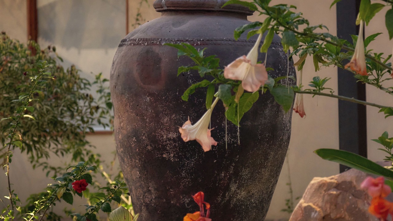 Photo of Outdoor in Bhopal