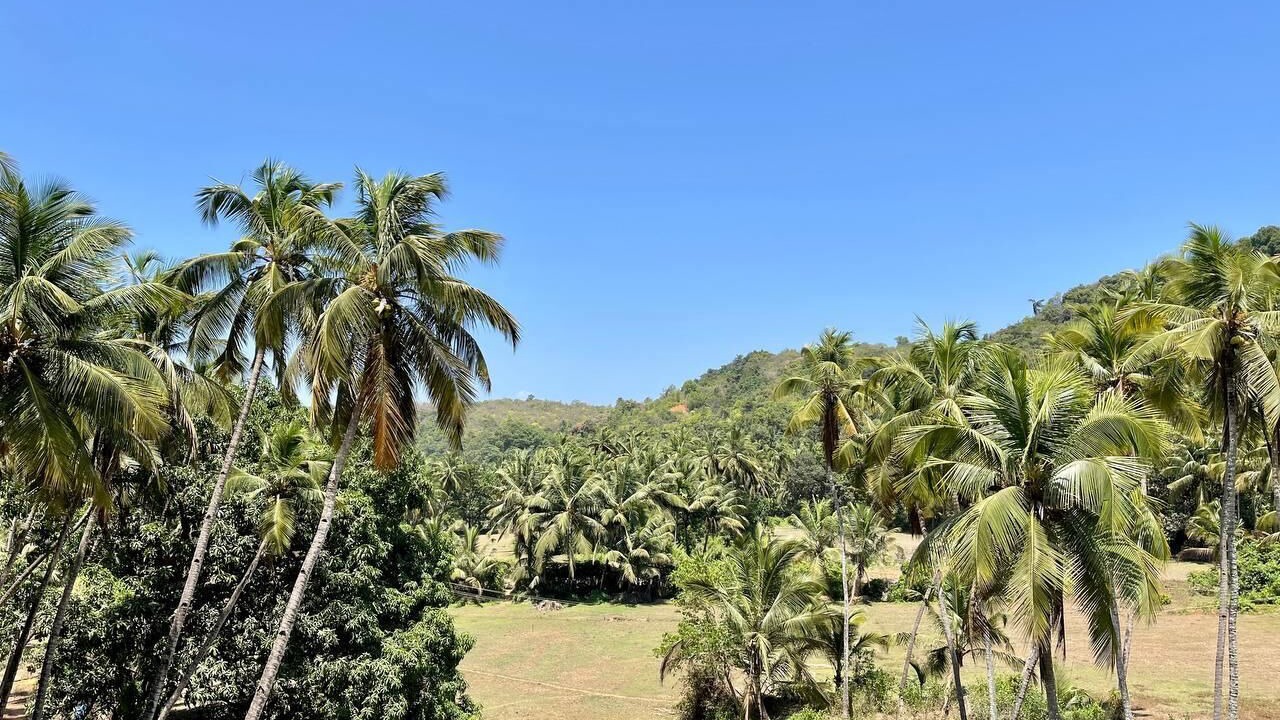 Photo of Outdoor in Arambol