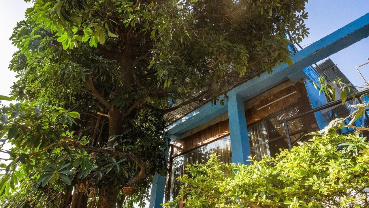 Photo of Outdoor in Mount Abu