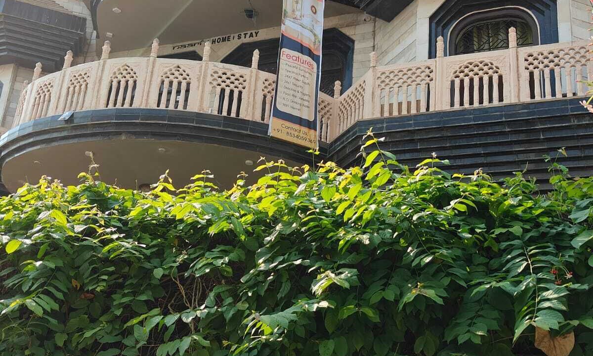 Photo of Outdoor in Mathura