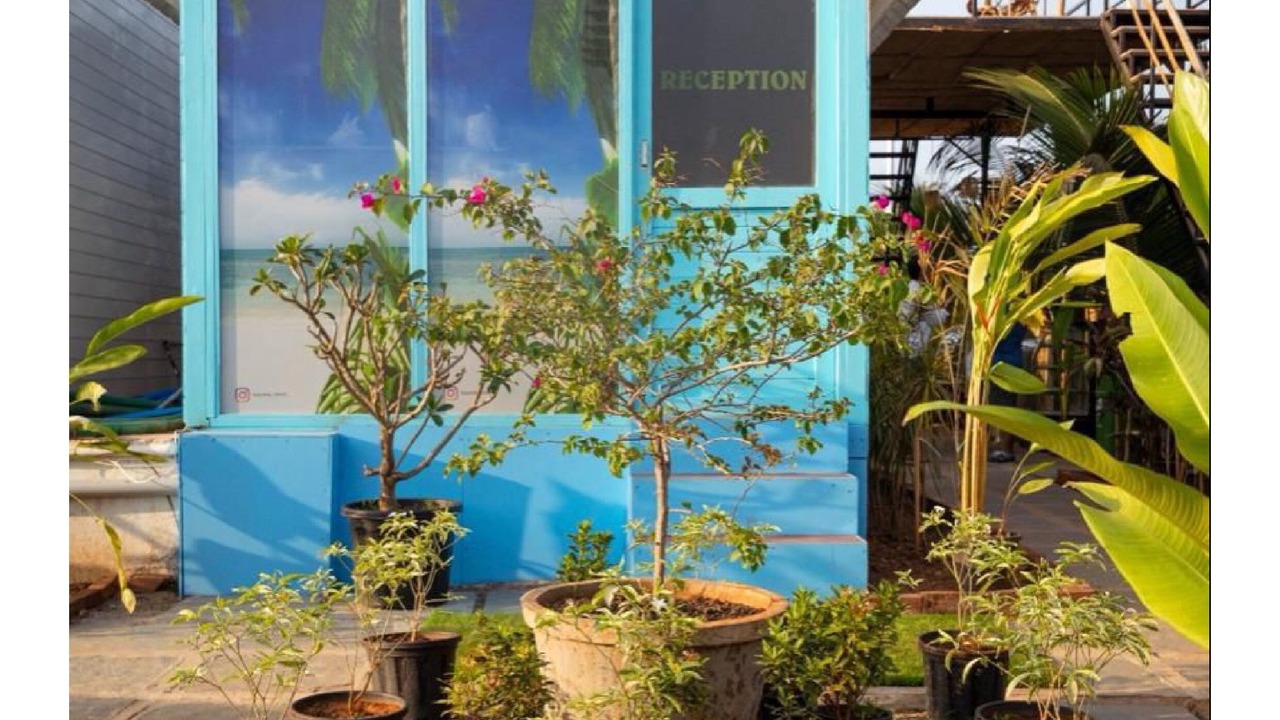 Photo of Outdoor in Anjuna