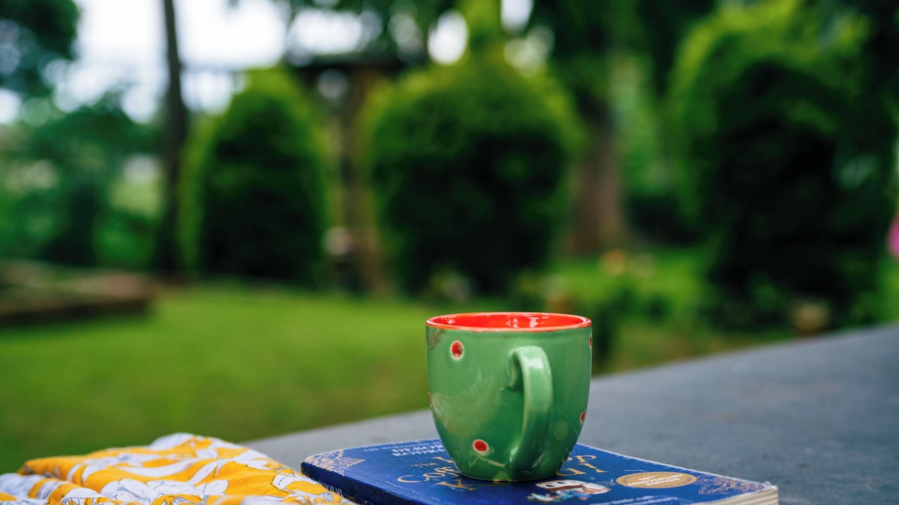 Photo of Outdoor in Yelagiri