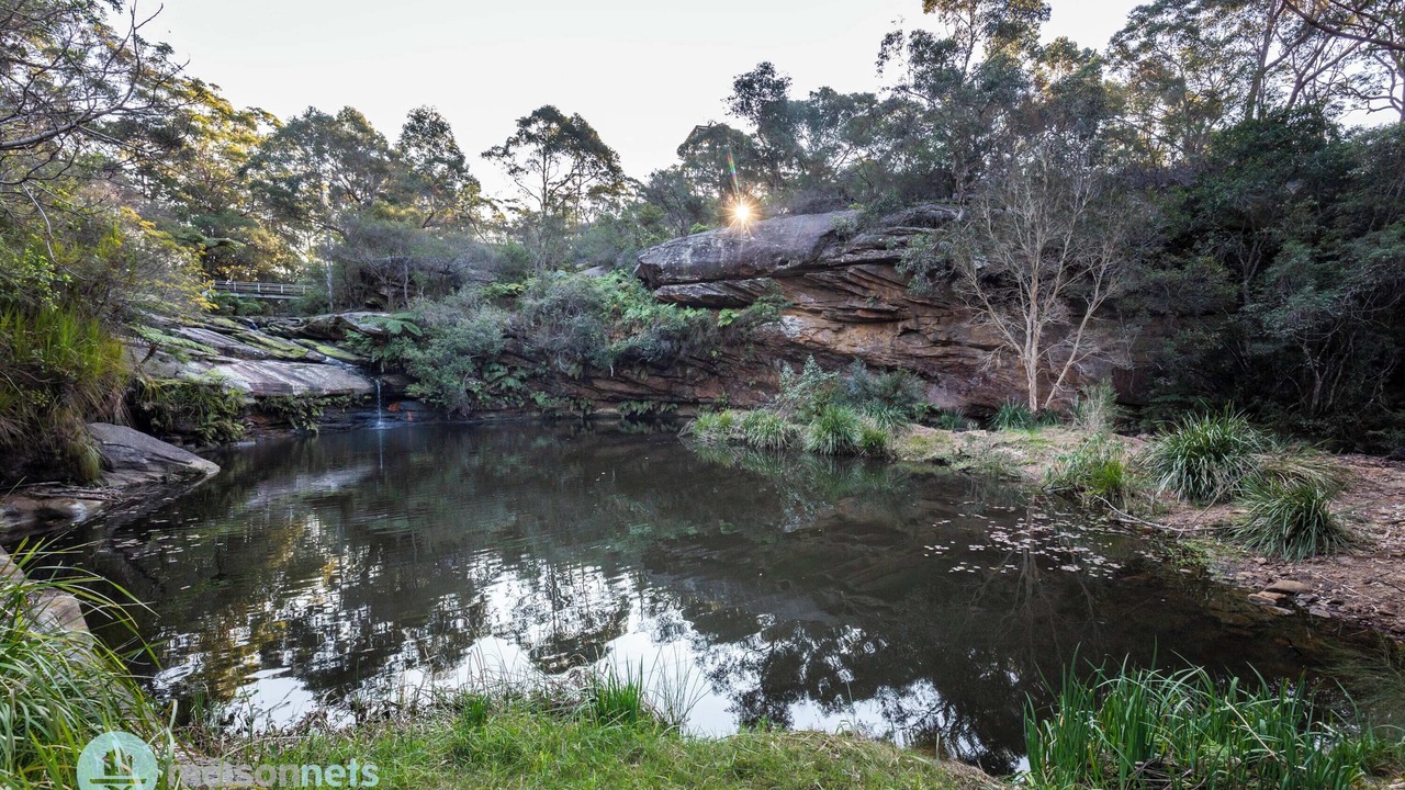 Photo of Others in Manly Vale