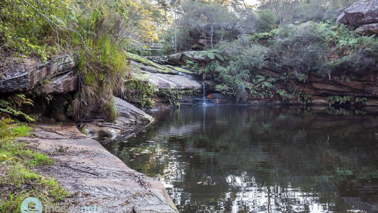 Photo of Others in Manly Vale