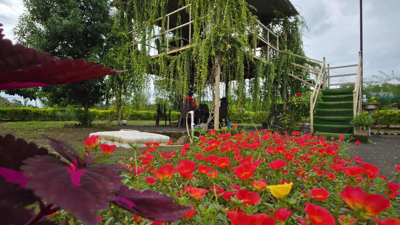 Photo of Outdoor in Ghatanji