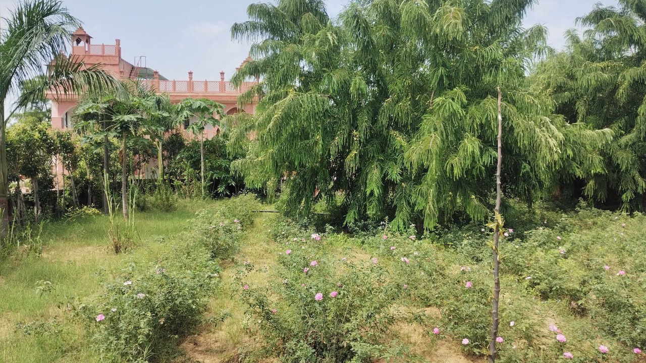Photo of Patio Balcony in Village Hokra