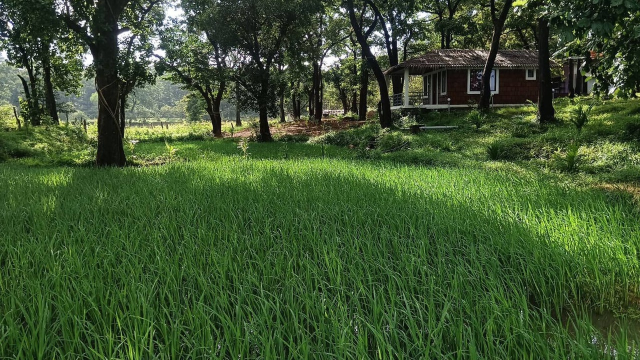 Photo of Bedroom in Timbholi