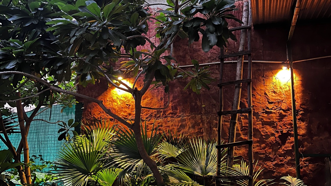 Photo of Outdoor in Amer