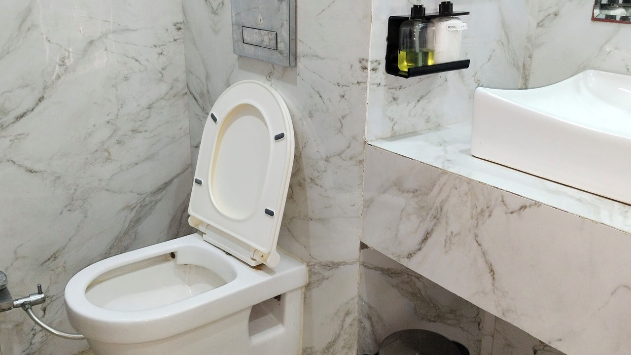 Photo of Bathroom in Dewas