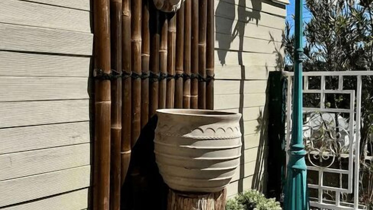 Photo of Outdoor in Katoomba