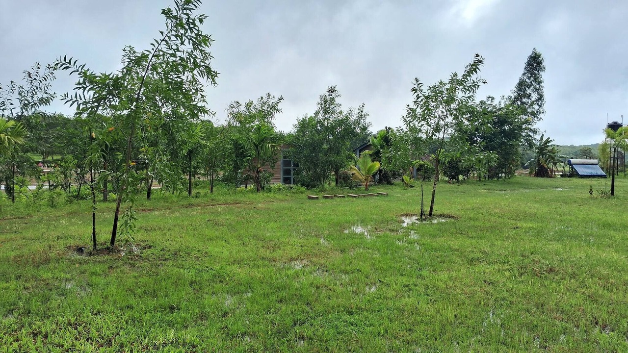 Photo of Outdoor in Timbholi