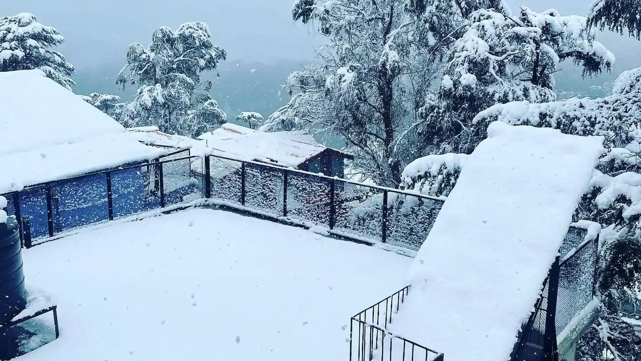 Photo of Outdoor in Shimla