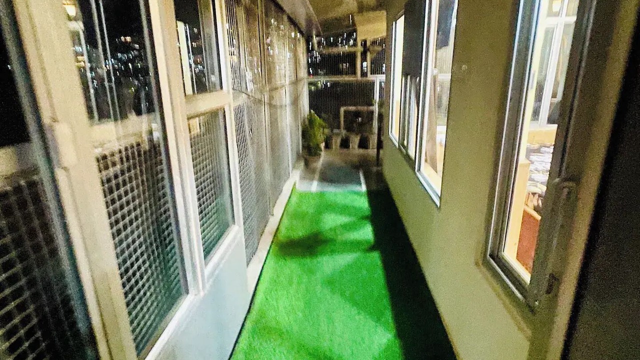 Photo of Outdoor in Shimla