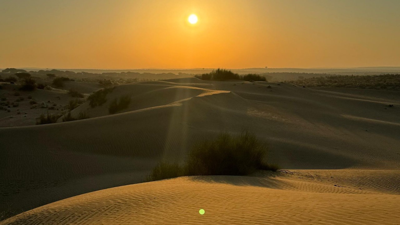 Photo of Others in Jaisalmer