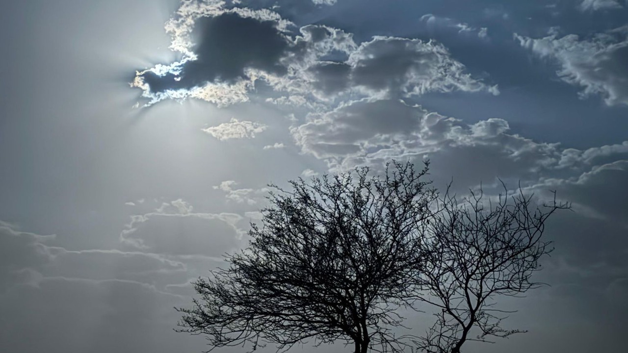 Photo of Outdoor in Jaisalmer