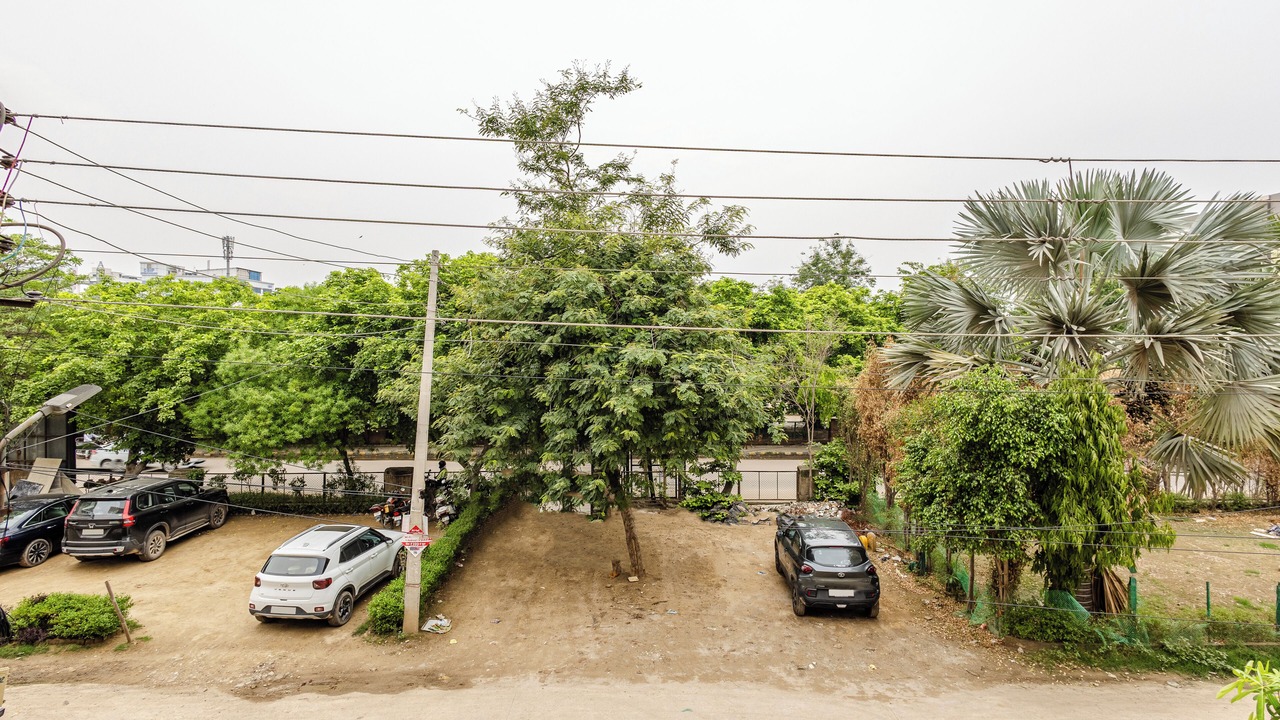 Photo of Outdoor in Sector 39