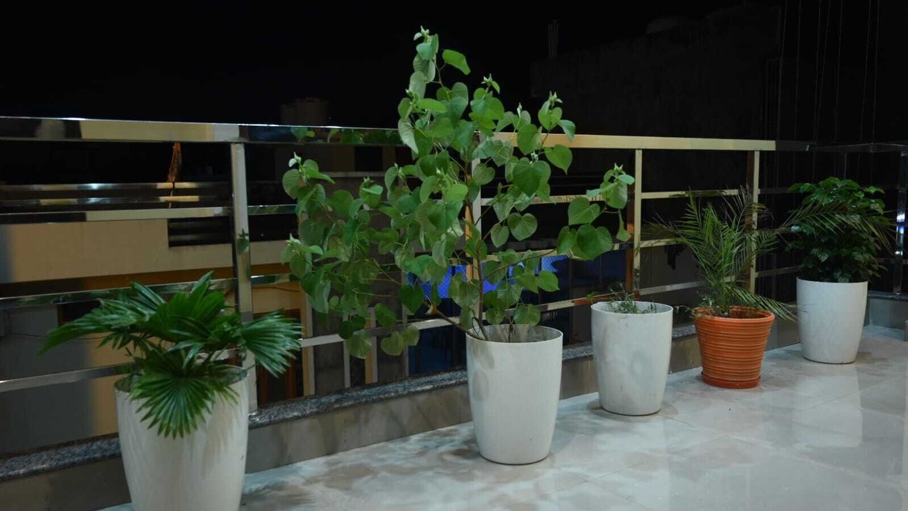 Photo of Outdoor in Ayodhya