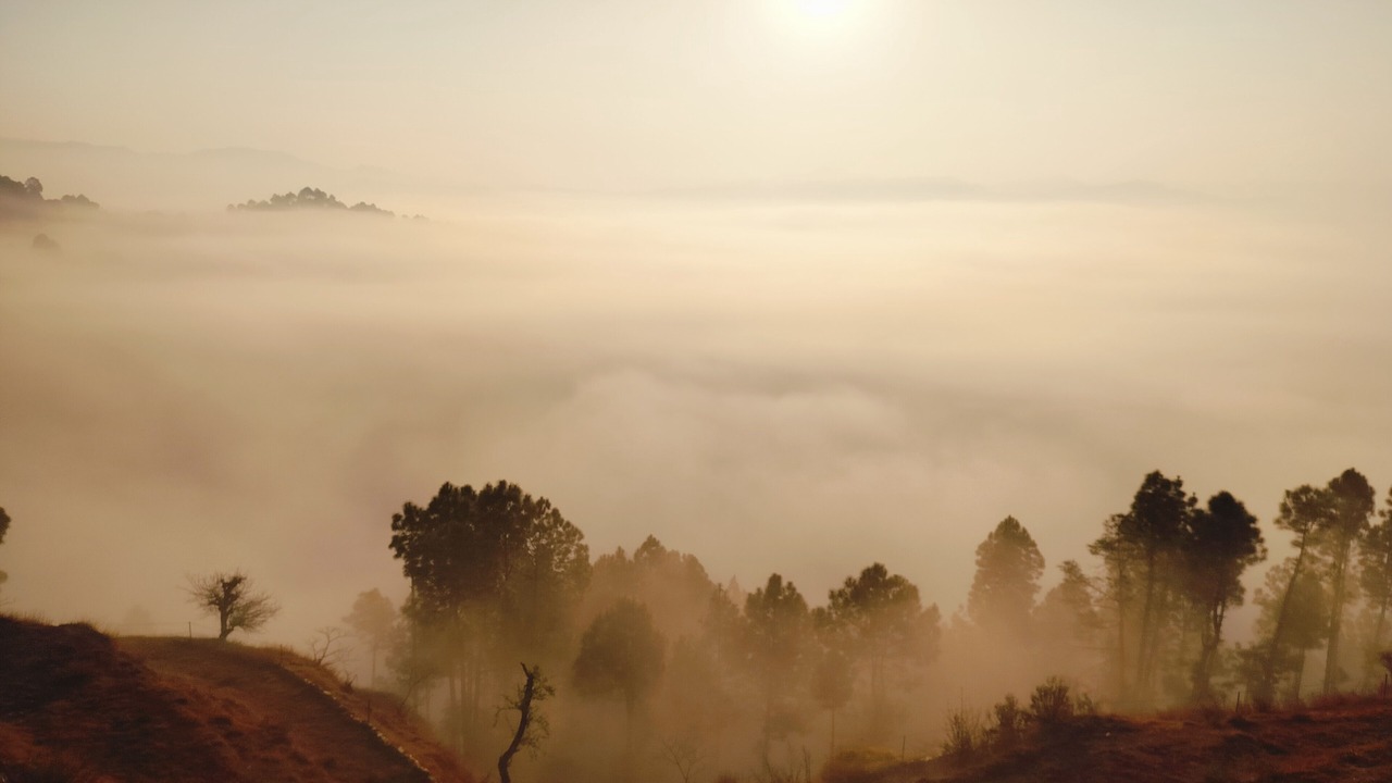 Photo of Outdoor in Almora