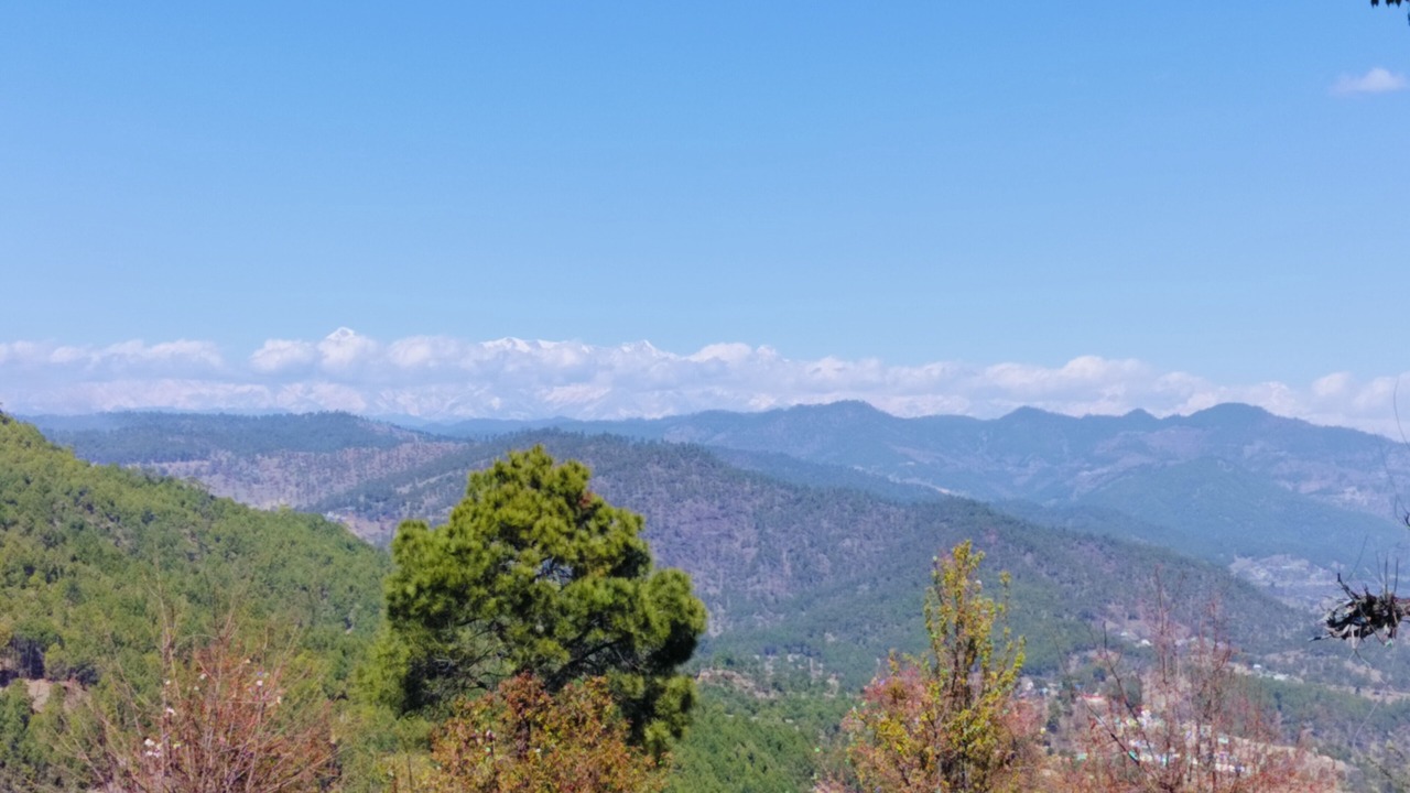 Photo of Outdoor in Almora