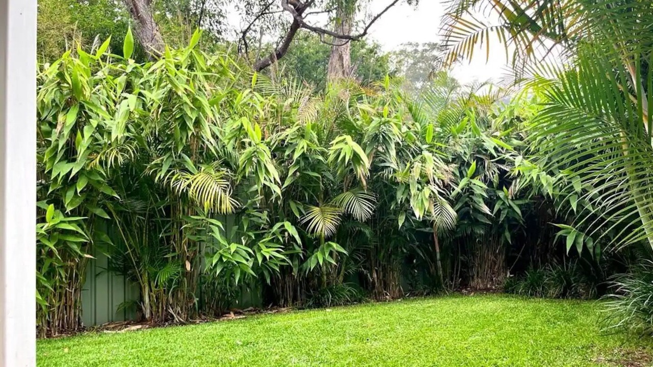 Photo of Outdoor in Umina Beach