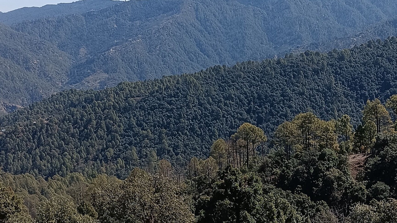 Photo of Patio Balcony in Nainital