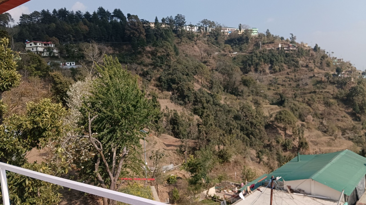 Photo of Outdoor in Nainital