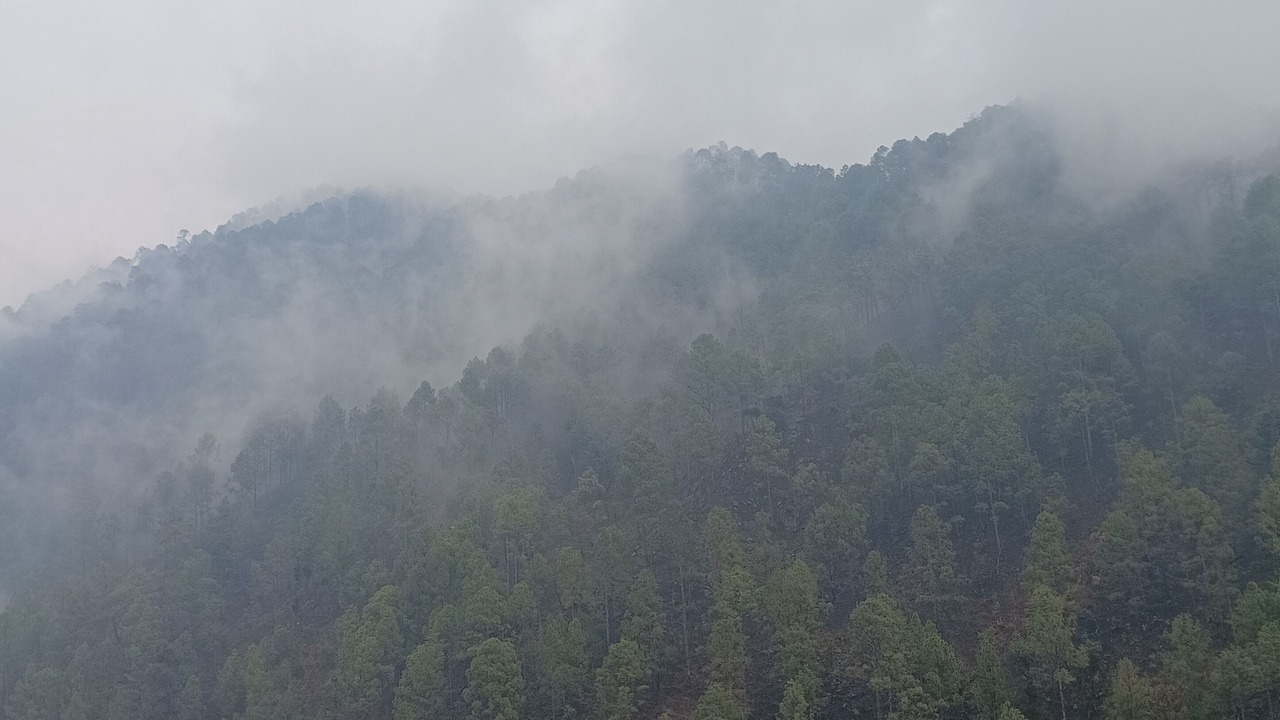 Photo of Outdoor in Nainital