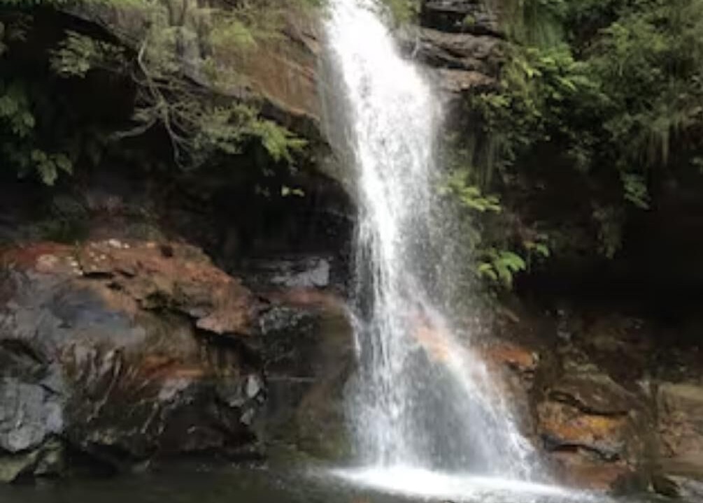 Photo of Others in Wentworth Falls