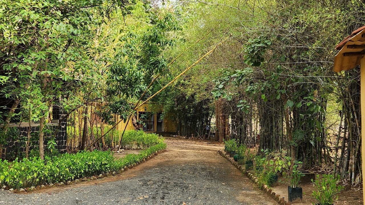 Photo of Outdoor in Tala