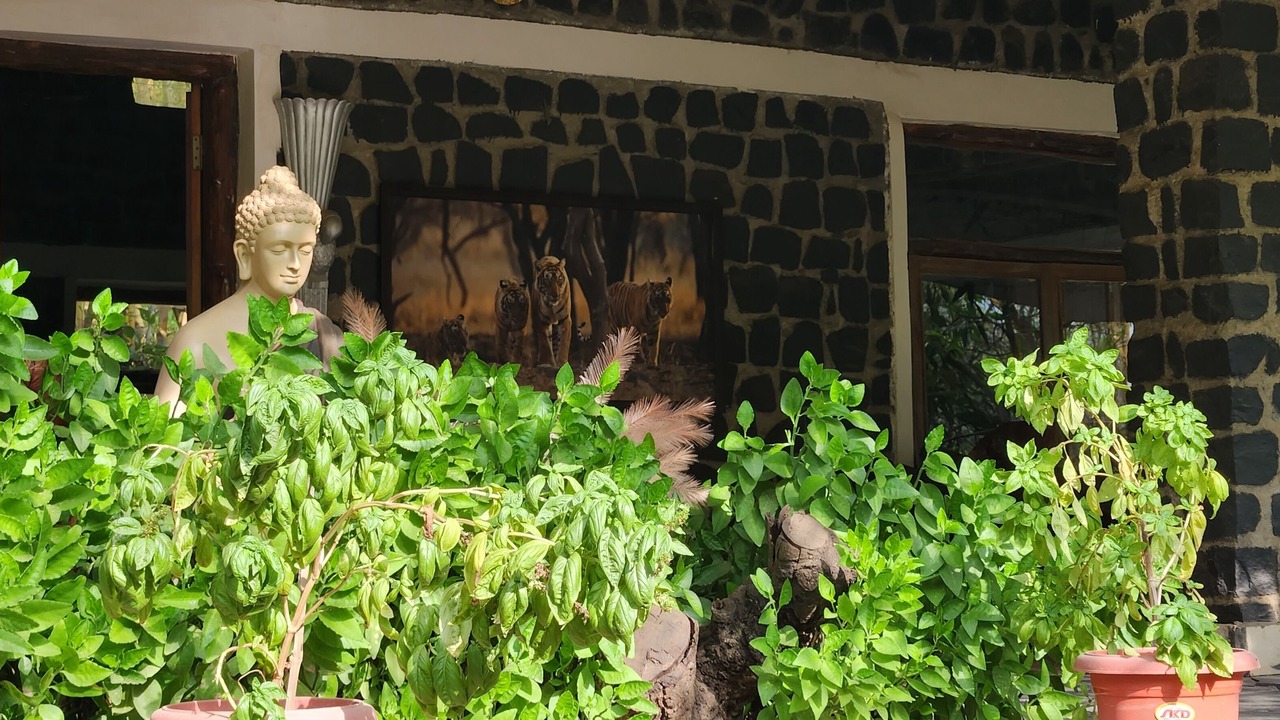 Photo of Outdoor in Tala