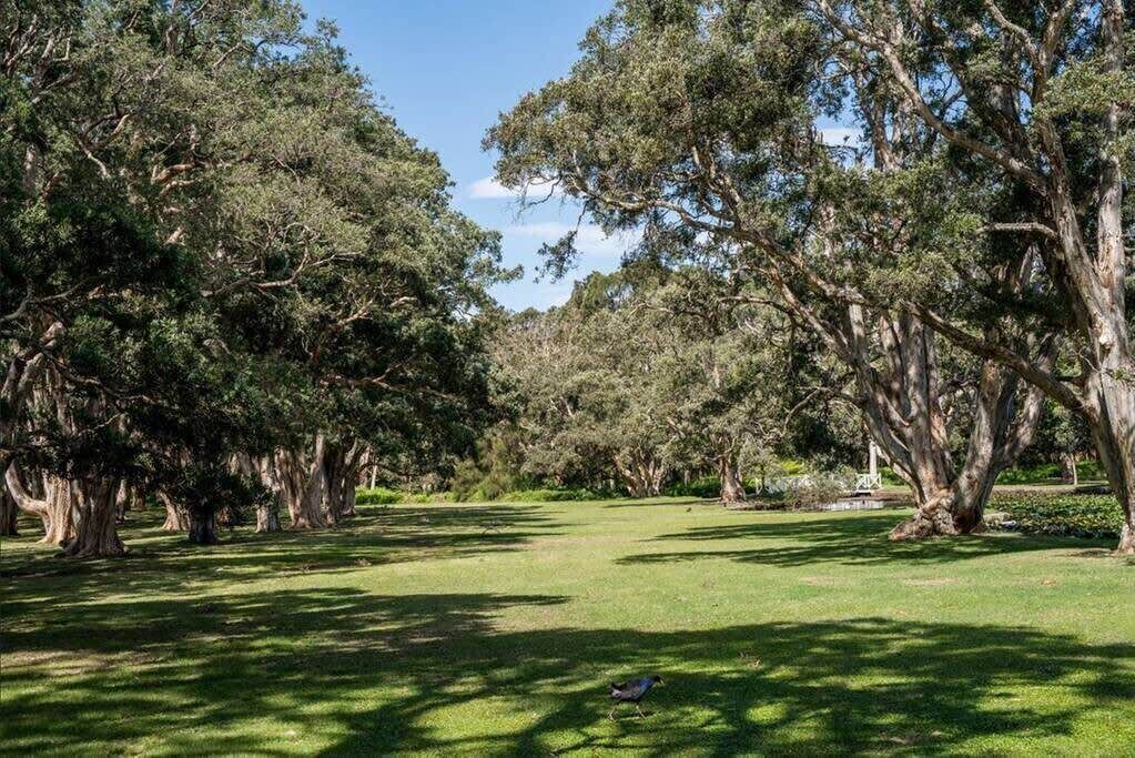 Photo of Outdoor in Woollahra