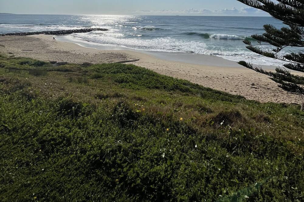 Photo of Others in Central Coast