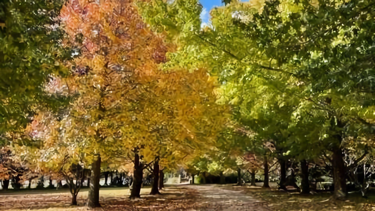 Photo of Outdoor in Sutton Forest