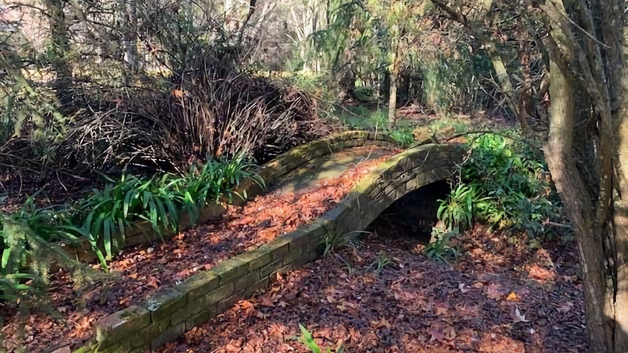Photo of Outdoor in Sutton Forest