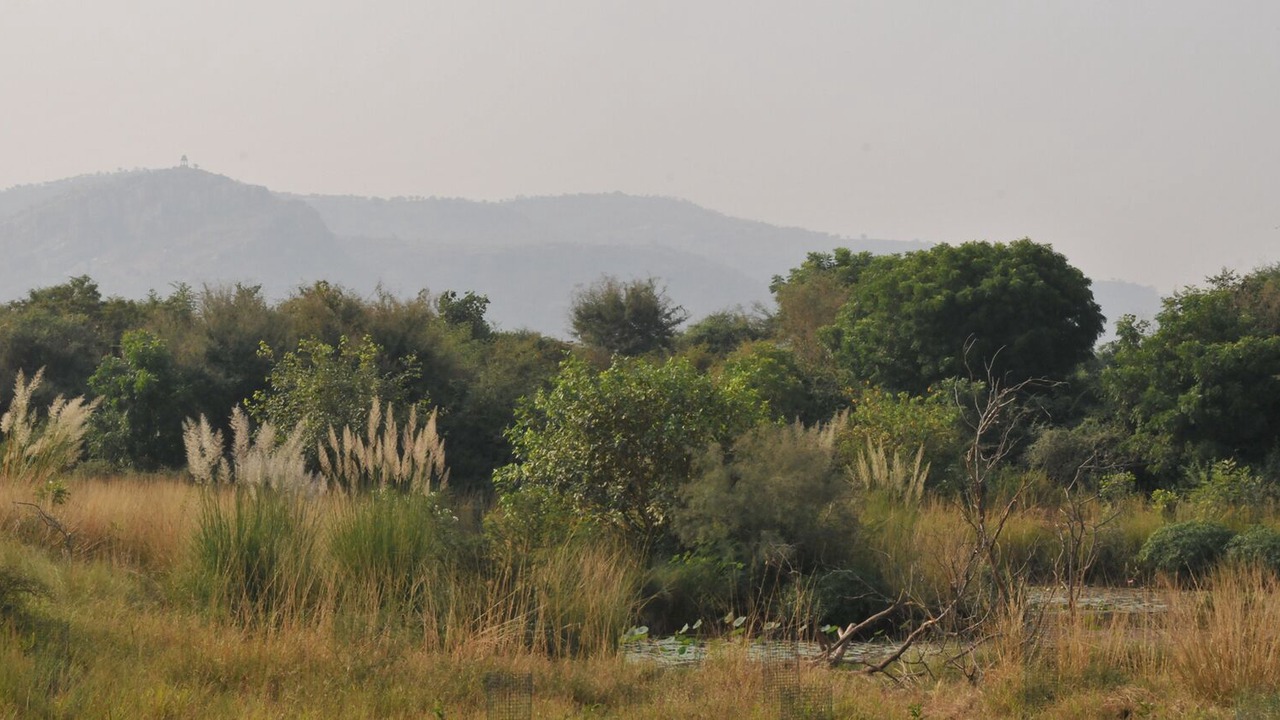 Photo of Outdoor in Sawai Madhopur