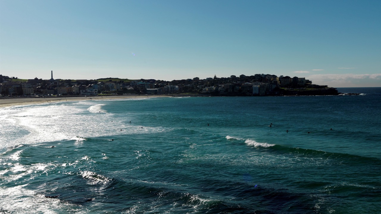 Photo of Others in Bondi Beach